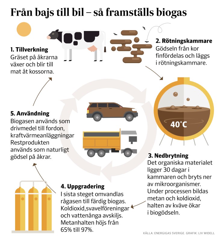 NLannefors's tweet photo. @rickardnordin Att svenska #Biogas ♻ produktionen kan mångdubblas om vi blir bättre på att separera & processa det #bioavfall som samhället producerar. Mindre konstgödsel behövs om vi producerar mer #cirkulär ekologisk gödsel som restprodukt från biogasproduktionen! Detta är en #NoBrainer 👍 https://t.co/jnX5xABC1X