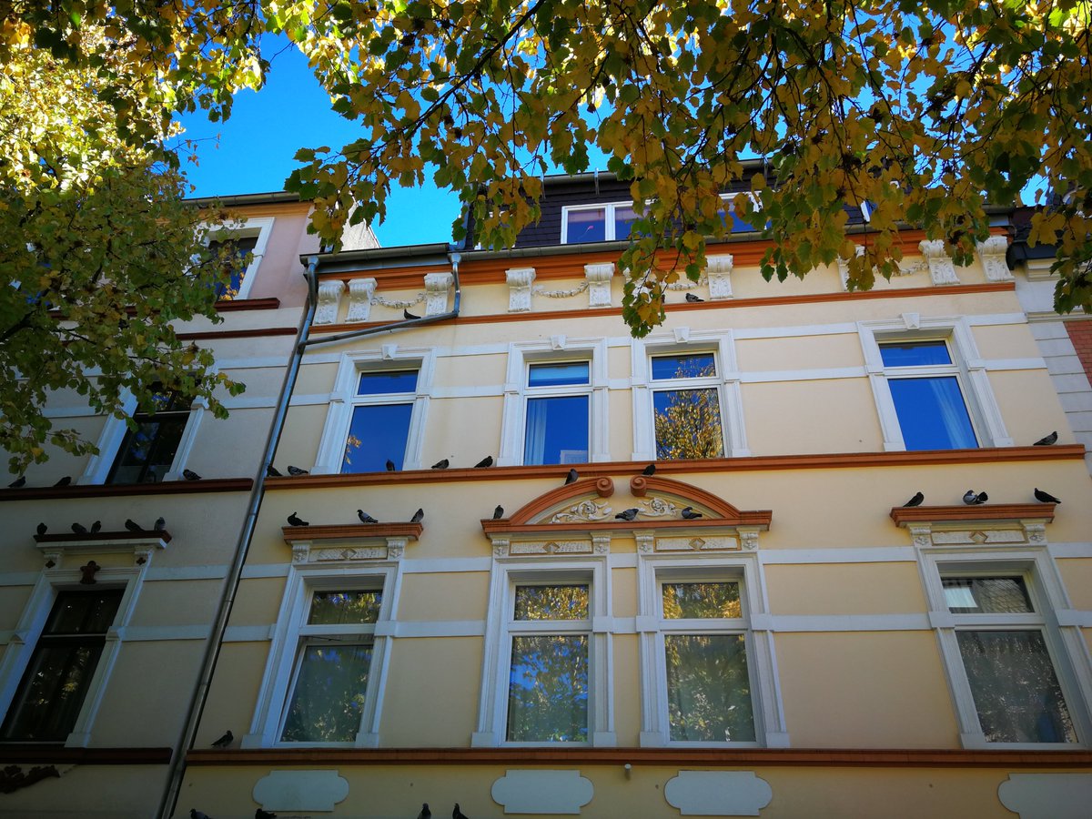 Die wahrscheinlich letzte Fassade Dortmunds ohne Anti-Tauben-Drahtzeug.