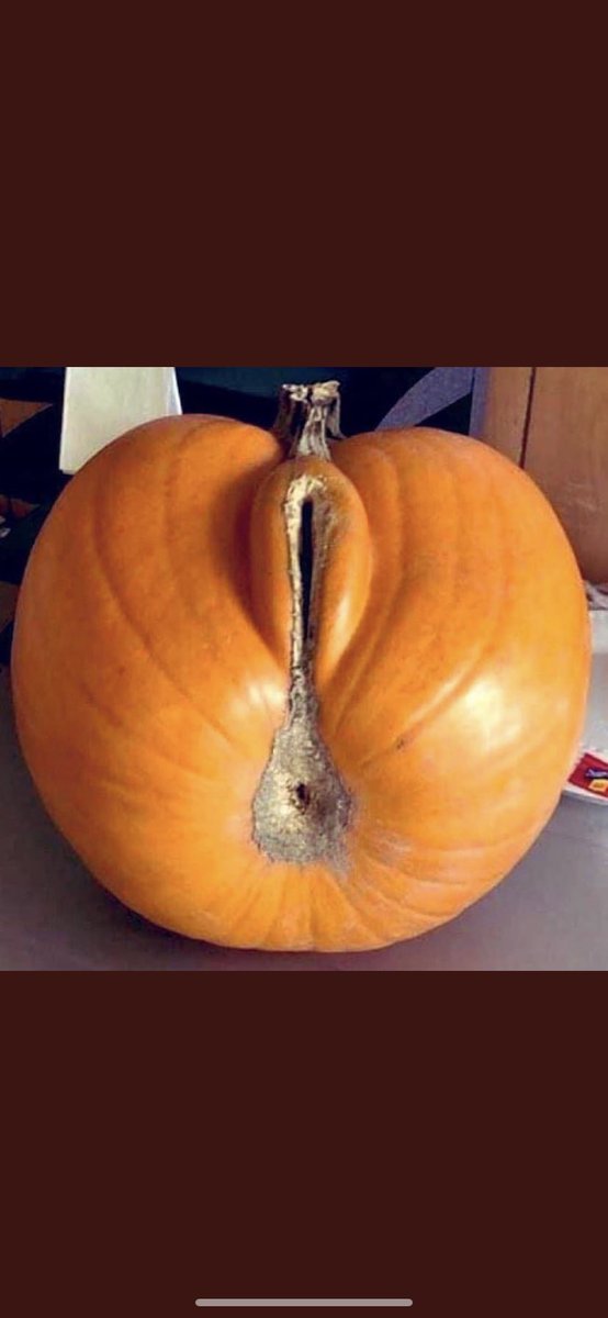 radiojagger's tweet photo. It’s a….. well it’s a….. you know…… a thingy…. Erm… yeah a pumpkin that’s what it is a pumpkin. 😉xx https://t.co/yXa7jxjTIo