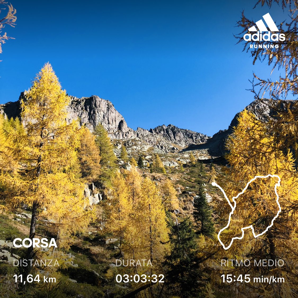 dinome_difatto's tweet photo. Larix decidua, benvenuto autunno 🍂💛🧡 #iocorroqui ⁦@runlovers⁩ #serendipity ⁦@VisitTrentino⁩ #bernstol https://t.co/cR7F903QJF
