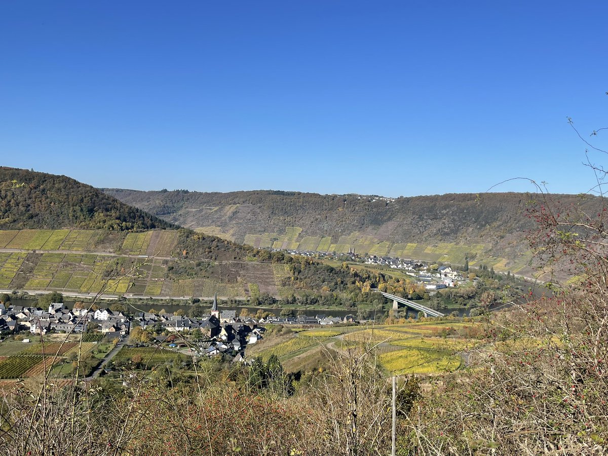 Es ist einfach so schön in unserer Region von Mosel, Eifel, Hunsrück. Und der Herbst zaubert wundervolle Farben in der Natur.