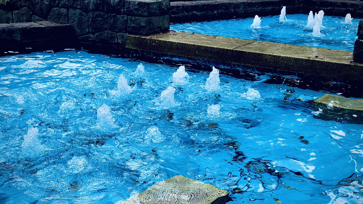 AcchinBu's tweet photo. いろんな水の色
#写真 #水色 #キリトリセカイ #water https://t.co/hjaADrz8hz