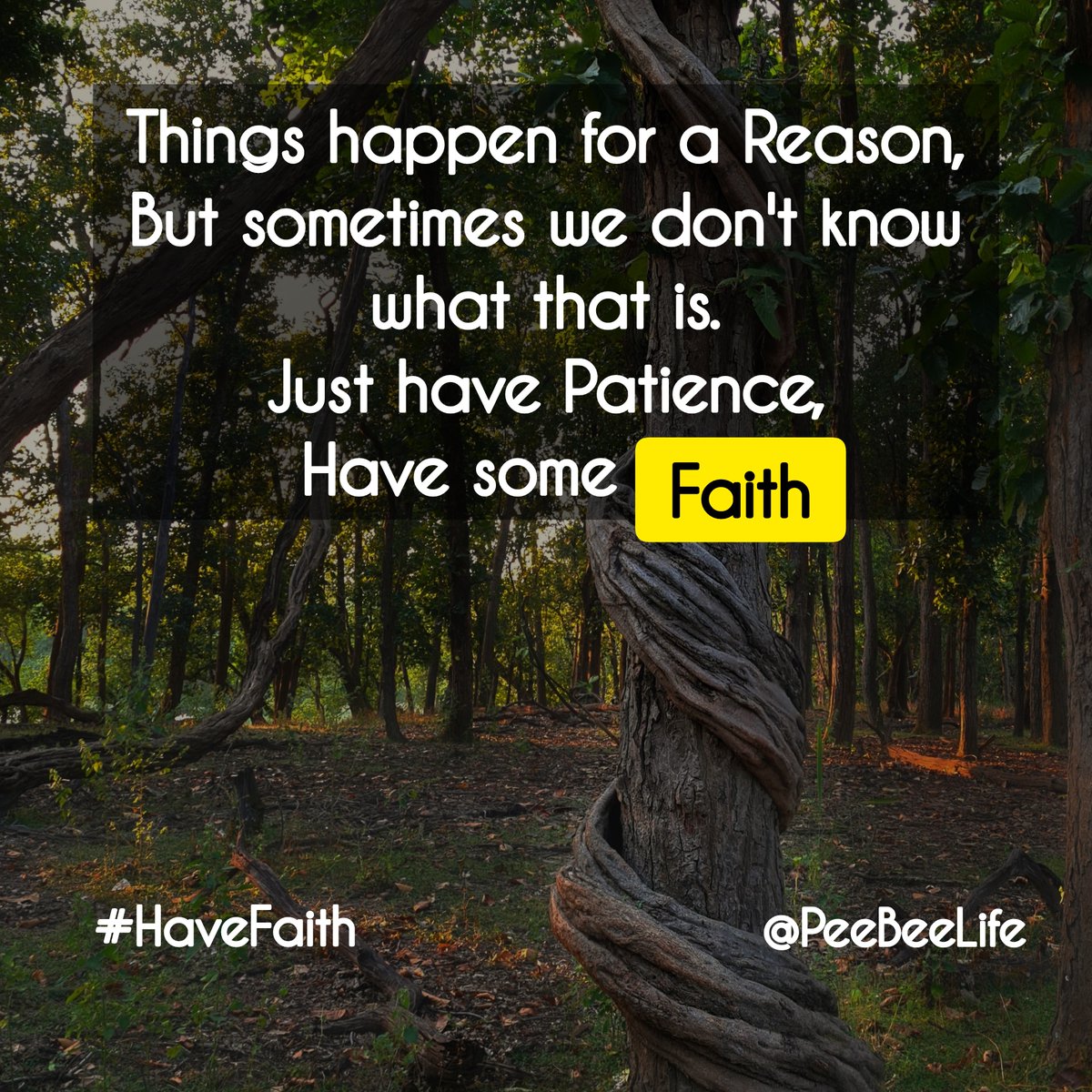 LifePeebee's tweet photo. Things happen for a reason, but sometimes we don't know what that is. Just have Patience, have some faith.
.
.
#faith
#patience #reasons #ulmighty #havefaith #havefaithinyourself #havefaithingod #plantosucceed #believe #believeinyourself #keepgoing #keepworking #keepfighting https://t.co/e0oUfxshaf