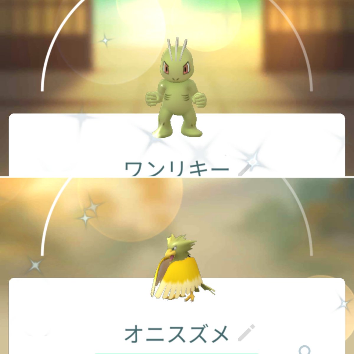 ポケモンgo ハリマロンの色違い 入手方法と実装状況 攻略大百科
