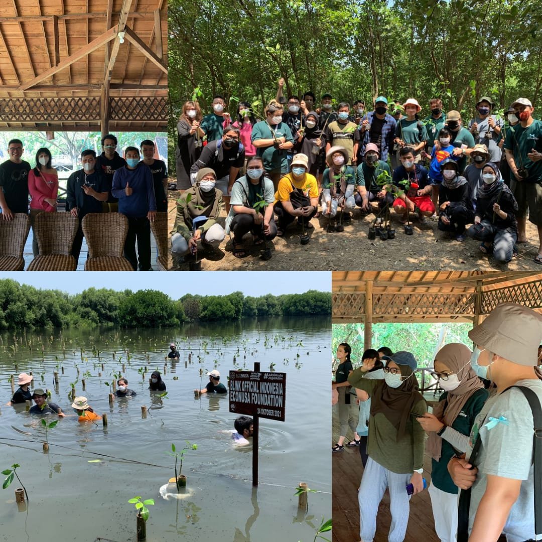 Blink_OFCINDO's tweet photo. To support BLACKPINK as a Climate Change Ambassador. Today, BLINK Indonesia has finished planting mangroves in Jakarta

@ygofficialblink @BLACKPINK @UNFCCC @YouTube @BBCNews @BBCEarth @indozonemedia @kpop4planet @Kpop4Climate
 
#DearEarthWithBLACKPINK https://t.co/q6xphH7av3