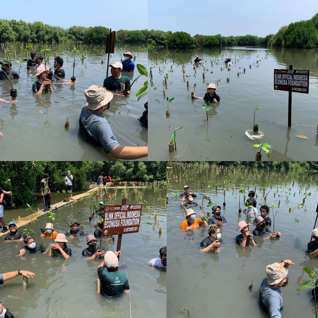 Blink_OFCINDO's tweet photo. To support BLACKPINK as a Climate Change Ambassador. Today, BLINK Indonesia has finished planting mangroves in Jakarta

@ygofficialblink @BLACKPINK @UNFCCC @YouTube @BBCNews @BBCEarth @indozonemedia @kpop4planet @Kpop4Climate
 
#DearEarthWithBLACKPINK https://t.co/q6xphH7av3