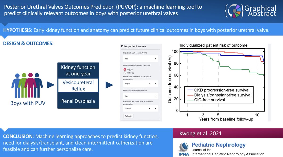 AdreeKhondker's tweet photo. Check out our new tool that predicts kidney and bladder outcomes in boys with PUV, out today in @Ped_Neph! All credit to the peds stream team @jethro_kwong @ChiaWeiTeoh @GregoryTasian @MandyRickardNP @ArmandoJLorenzo et al. https://t.co/1avRtMkZhE https://t.co/xlvR8XjBrj