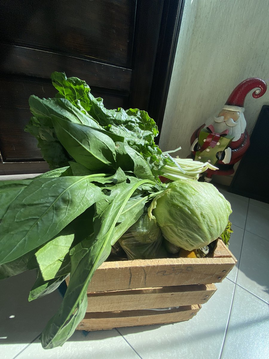 EscapadasM's tweet photo. Estos y más, fueron los pedidos de este fin de semana. ¿Qué esperas? Ahorra tiempo y recibe tu abasto en la puerta de tu hogar. #iztacalco #Coyoacán #CDMX #alamos #narvarte #Portales #Tlatelolco #Obrera #ColRoma #ColCondesa #Napoles #MovilidadCDMX https://t.co/FsD1WIBoP2