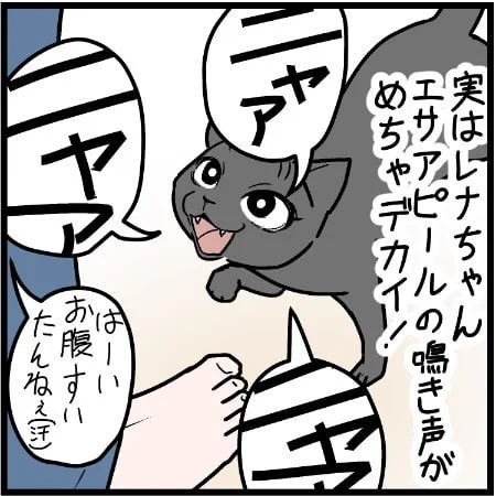 猫の優しい(?)気遣いに安眠妨害される飼い主 あるある漫画に「わかります」「どこのお家の子もそうなんだなぁ」の声  より 