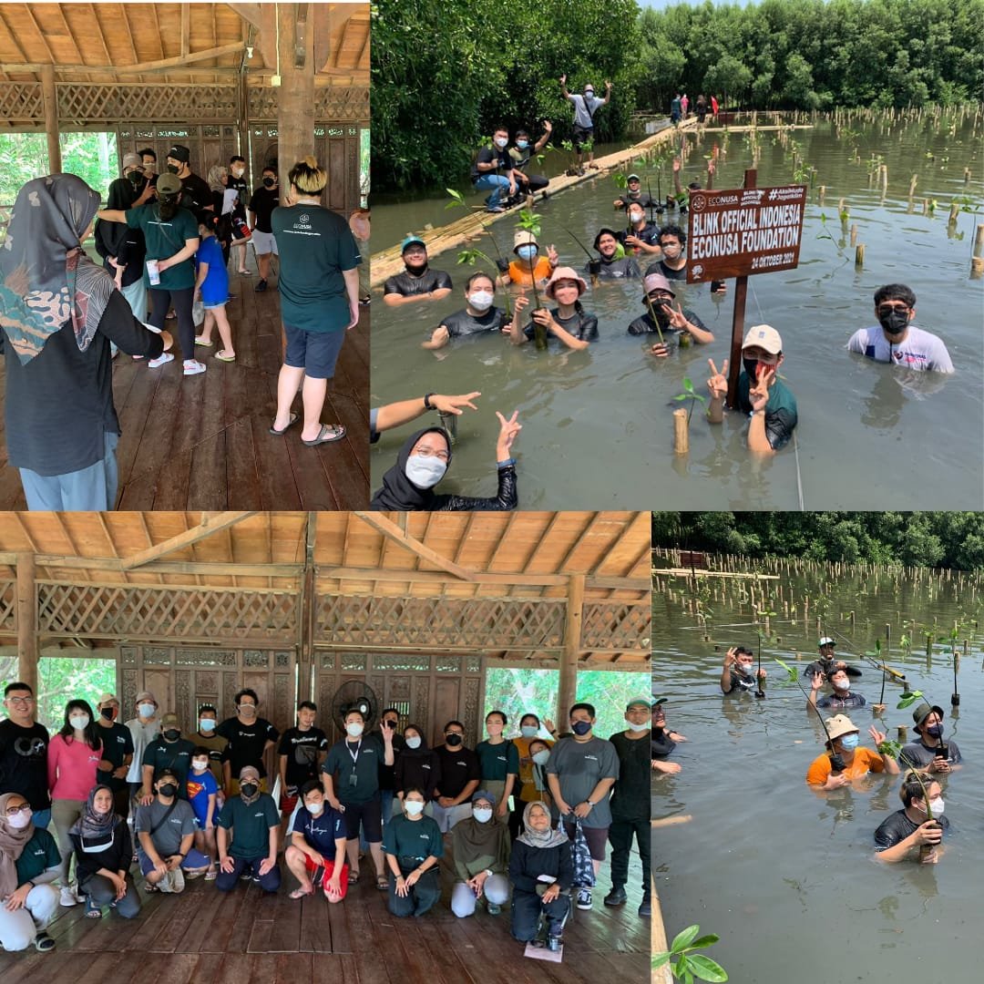 Blink_OFCINDO's tweet photo. To support BLACKPINK as a Climate Change Ambassador. Today, BLINK Indonesia has finished planting mangroves in Jakarta

@ygofficialblink @BLACKPINK @UNFCCC @YouTube @BBCNews @BBCEarth @indozonemedia @kpop4planet @Kpop4Climate
 
#DearEarthWithBLACKPINK https://t.co/q6xphH7av3