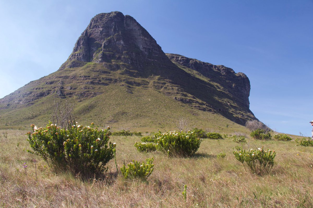 EnvConsJournal's tweet photo. New paper alert! The Brazilian Caatinga protected areas: an extremely unbalanced conservation system, by Marília Gomes Teixeira, Eduardo Martins Venticinque, Marília Bruzzi Lion &amp;
Míriam Plaza Pinto from @PPGECOUFRN ⬇️ https://t.co/3fF0tZGh7q https://t.co/jKAezhuHsz