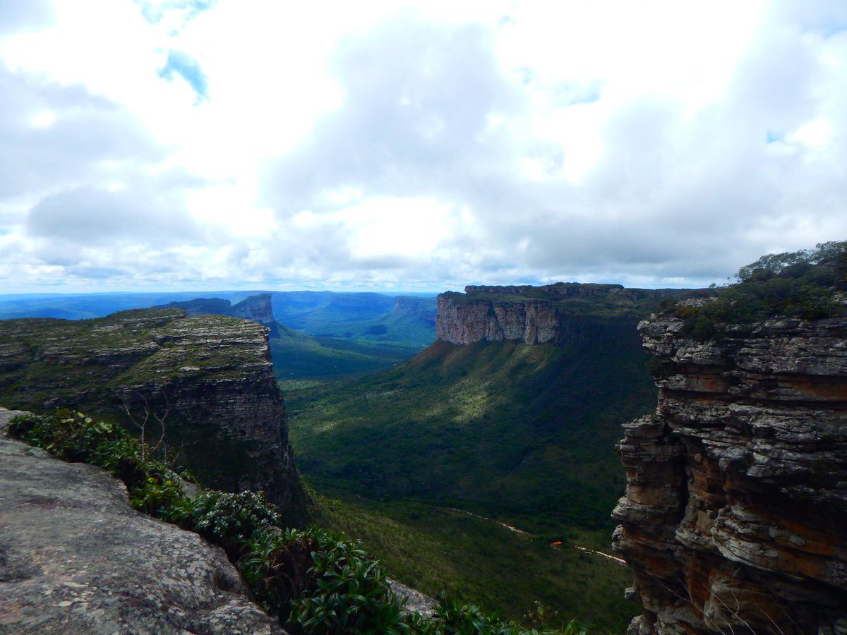 EnvConsJournal's tweet photo. New paper alert! The Brazilian Caatinga protected areas: an extremely unbalanced conservation system, by Marília Gomes Teixeira, Eduardo Martins Venticinque, Marília Bruzzi Lion &amp;
Míriam Plaza Pinto from @PPGECOUFRN ⬇️ https://t.co/3fF0tZGh7q https://t.co/jKAezhuHsz