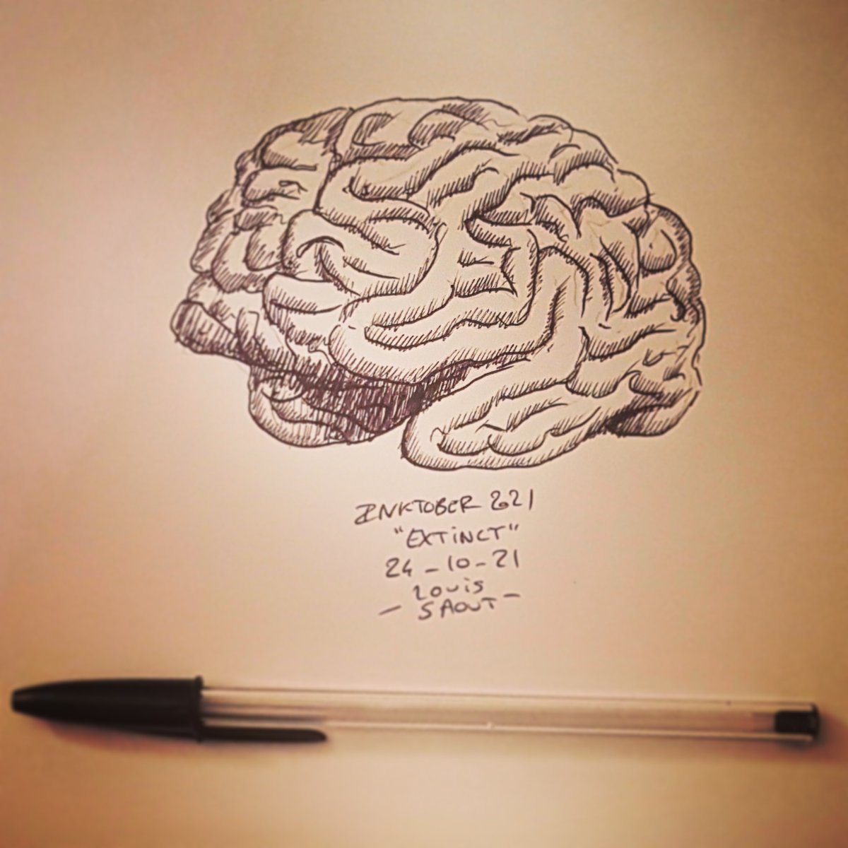 DoctorOpus's tweet photo. Day 24 for #inktober with #Extinct and a #Brain #Inktober2021 #Biro https://t.co/CkPUavhNRe