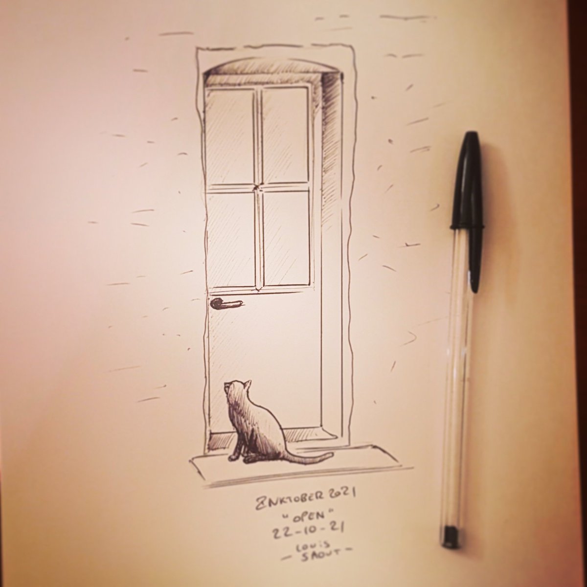 DoctorOpus's tweet photo. Day 22 for #inktober with #Open and a #Cat just waiting at the #Door #Inktober2021 #Biro https://t.co/LsblkznahL
