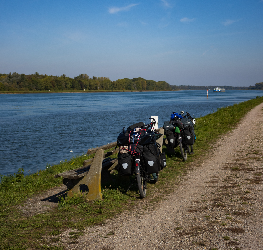 bikepacking4's tweet photo. Stage 77: In the cold #morningmist we started from #Schwanau &amp; #Allmannsweier along the #river #Rhine following #EuroVelo15. #Sun was out until lunch, which we enjoyed at the river. Made it to #Knielingen next to #Karlsruhe until #sundown. #Bicycle #Rad

https://t.co/W7YUignYiA https://t.co/E8eiexIEK3