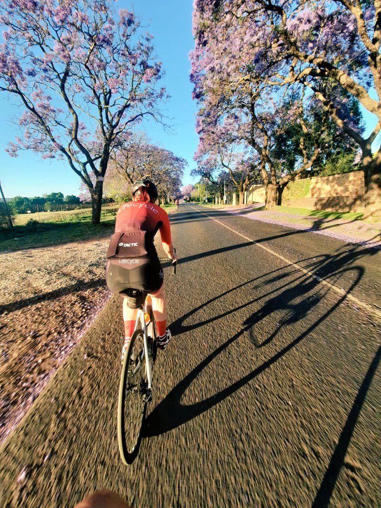 32Gi's tweet photo. It's October. The Jacarandas are in bloom & @RideJoburg is around the corner ๐ #32gicycling #lovecycling #roadcycling #cyclingtraining #32gi #32gisportsnutrition #32gienduranceaddict #32gilifestyle #teamlifecycle #32gifuelled https://t.co/svXhQhz5g3