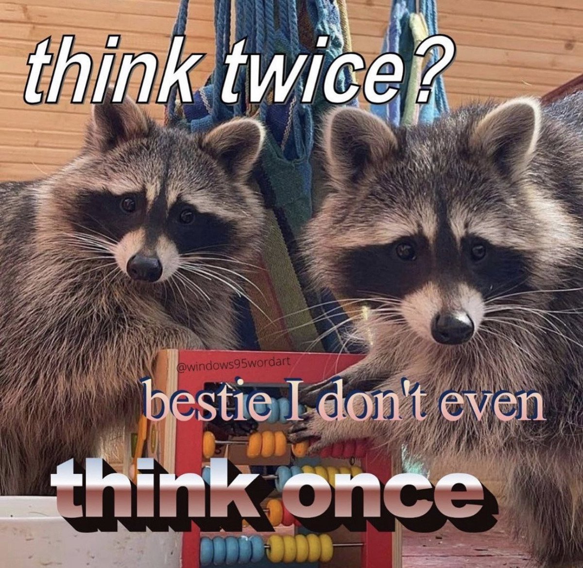 Only Ferrets (@rivermakes) on Twitter photo 