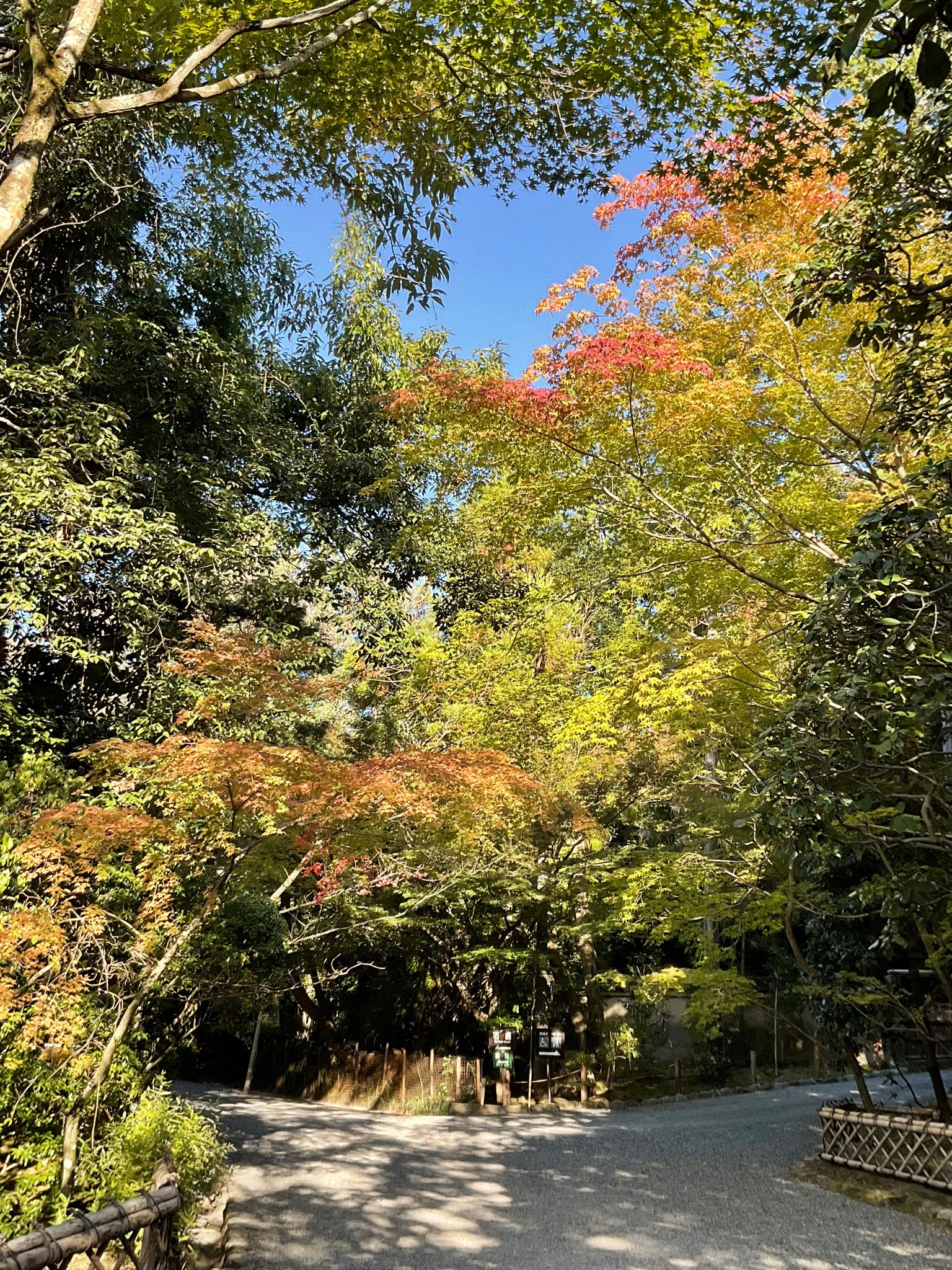The Garden Of Ryoanji Temple Ryoanji English Twitter