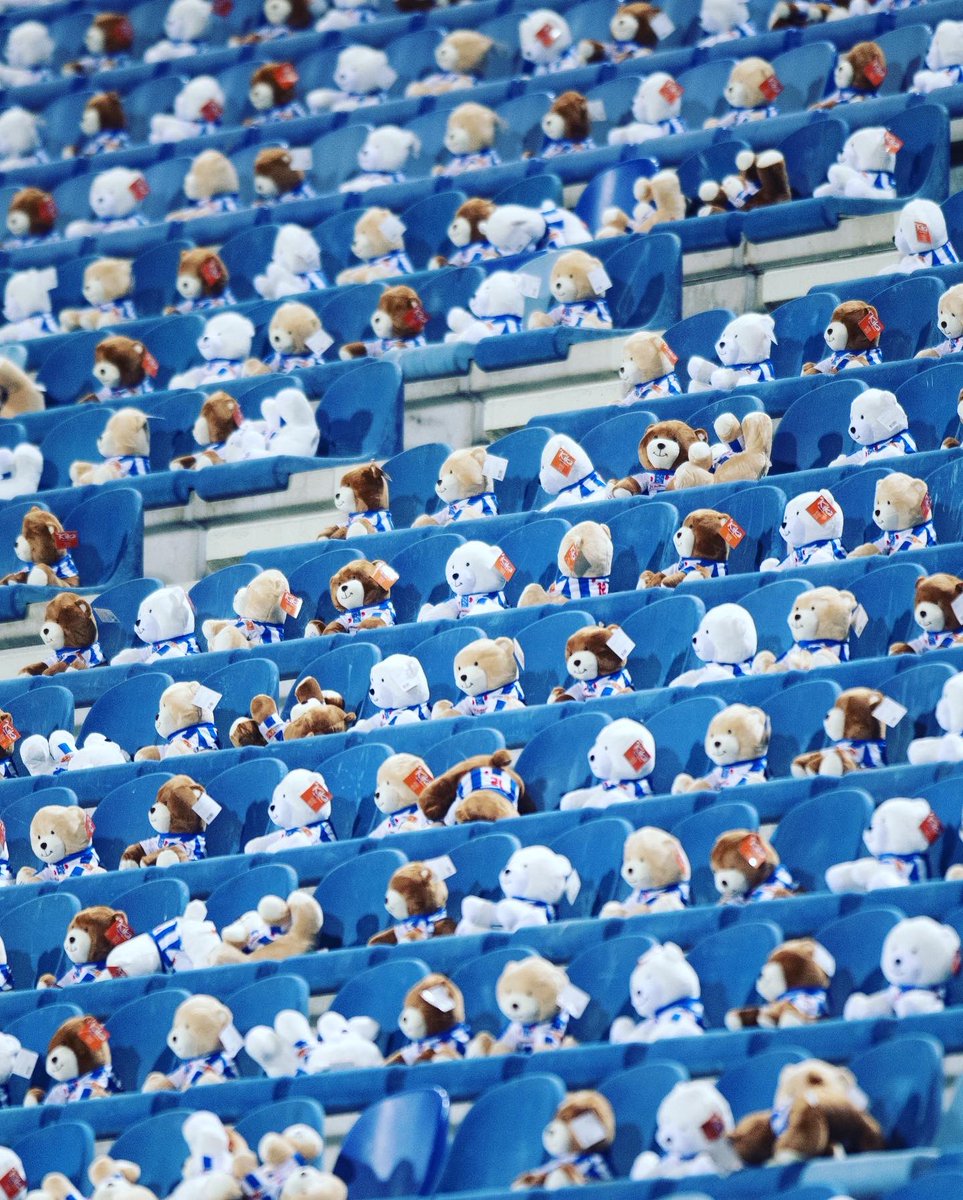 sc Heerenveen tweet media