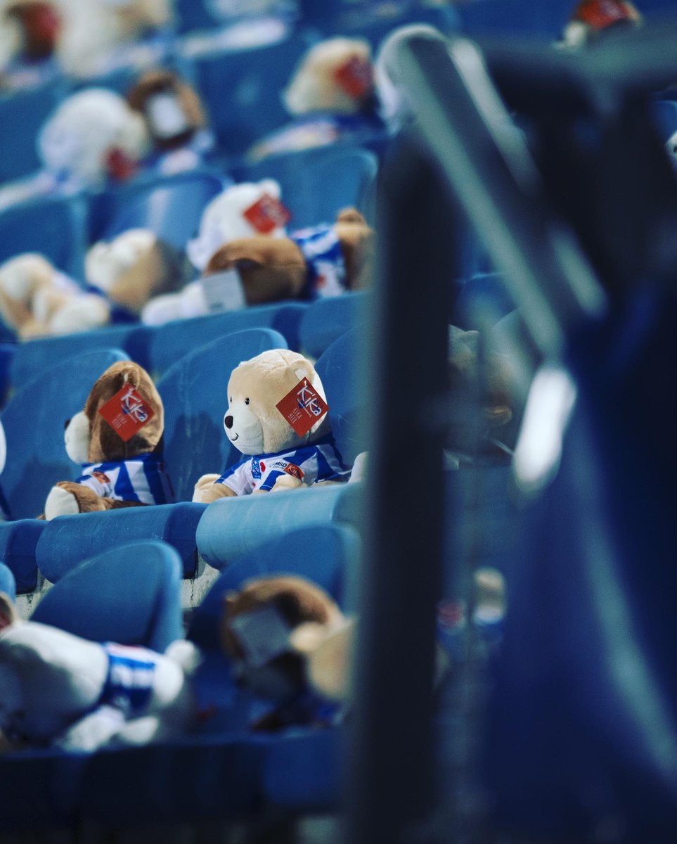 sc Heerenveen tweet media