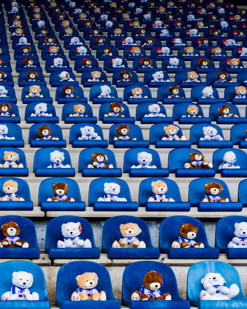 sc Heerenveen tweet media
