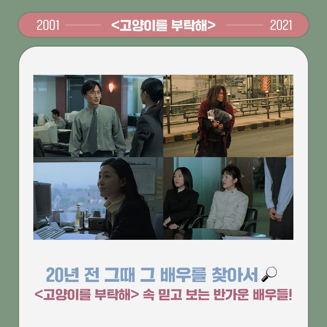 #고양이를부탁해 에 이 배우가!?! #문정희 #황석정 #박성근 #장소연 배우까지! 영화 속 반가운 얼굴들을 찾아서🔍 명품 연기력의 믿.보 배우들💫...