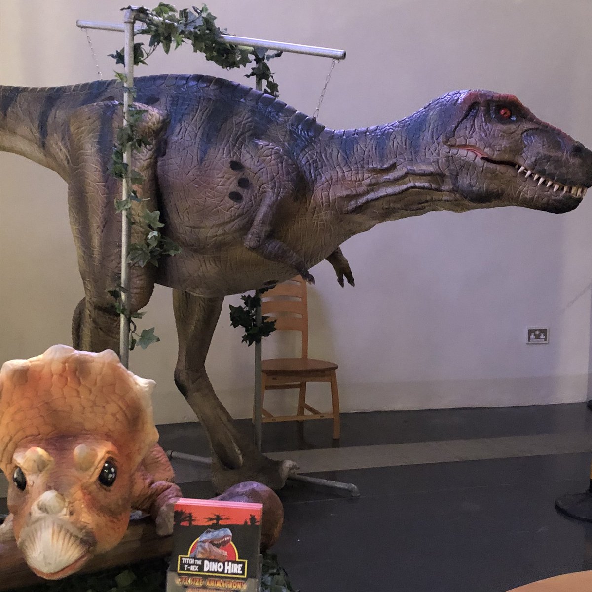 AmalKhreisheh's tweet photo. It’s #DinoDay today @SomersetMuseum. I’m here with a table of fossils. Traditionally on Dino Day I get upstaged by a disco-dancing dinosaur but this year it looks like I’m going to upstaged by Titch the animatronic T-Rex! #Dinosaurs #Fossils #SWHTDiscovery https://t.co/PsoTyA6q7e