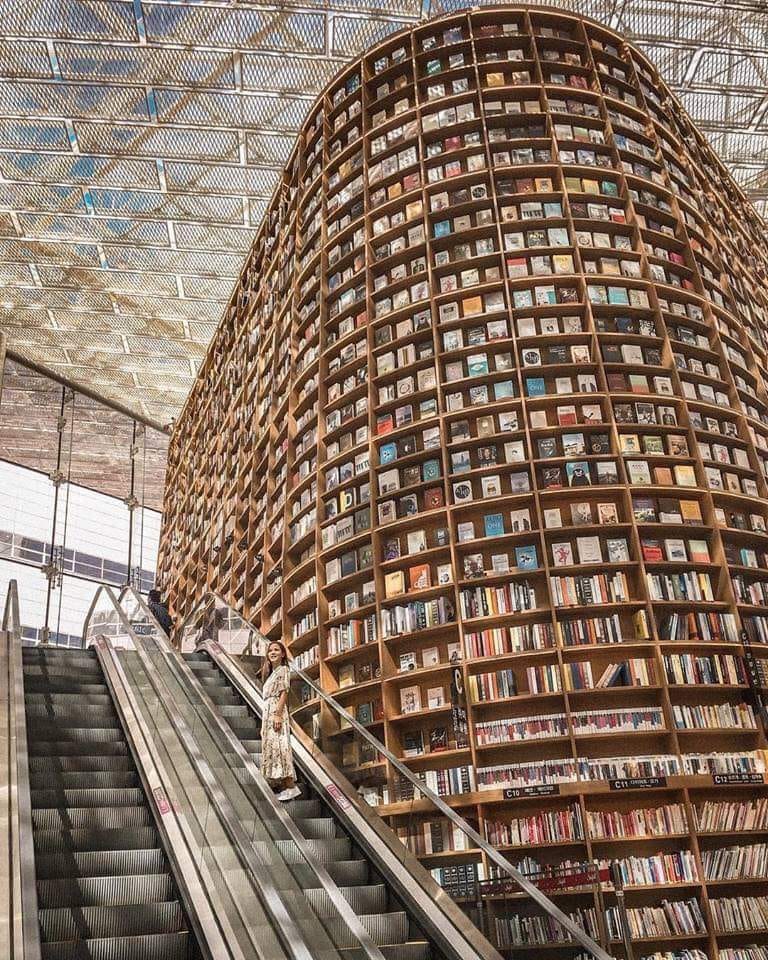Antonio55149220's tweet photo. #DiaDeLasBibliotecas 📚
Donde todo habita. https://t.co/IjlmxiZxJB