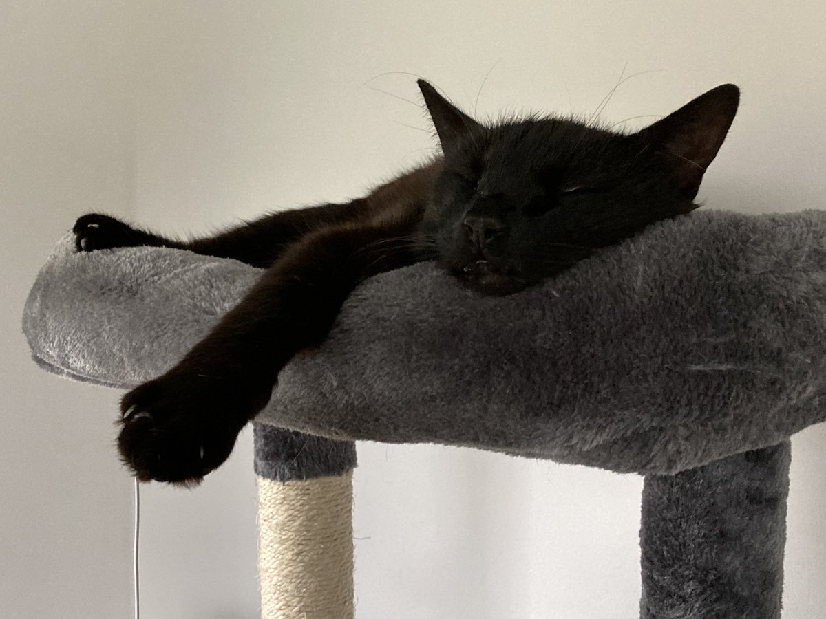 MsSophie (@stocki76) on Twitter photo 