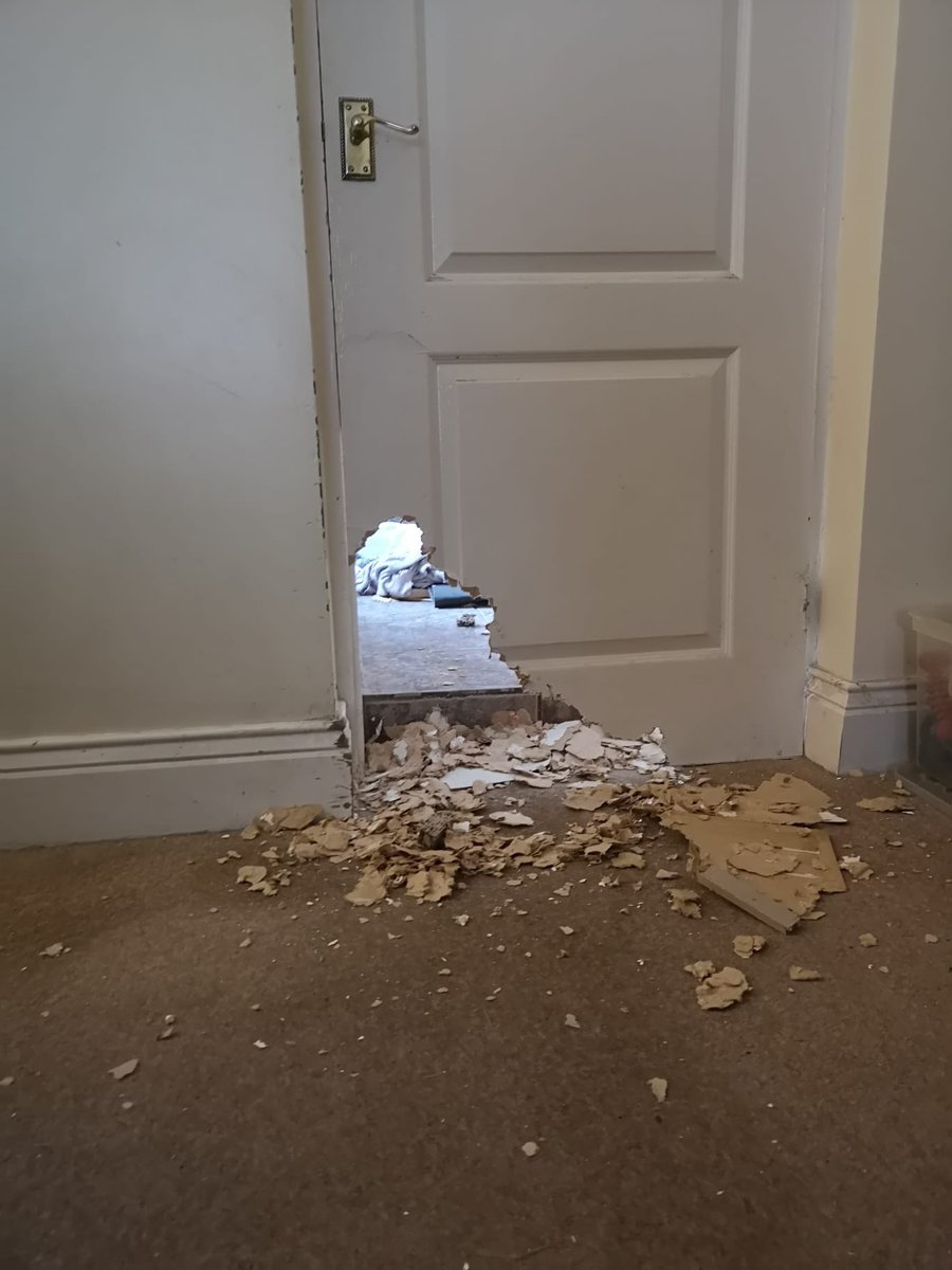 neecrackjack's tweet photo. ⁦@SundayBrunchC4⁩ the new owners of Dougie the rescue dog didn’t know he wasn’t fan of being shut in the kitchen #poordougie #poordoor https://t.co/dcJmLBFV7C