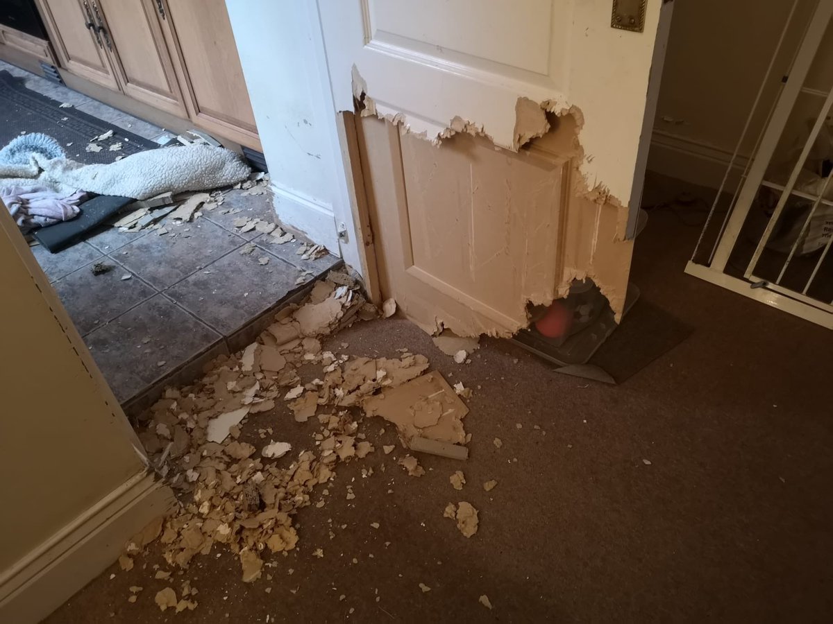 neecrackjack's tweet photo. ⁦@SundayBrunchC4⁩ the new owners of Dougie the rescue dog didn’t know he wasn’t fan of being shut in the kitchen #poordougie #poordoor https://t.co/dcJmLBFV7C