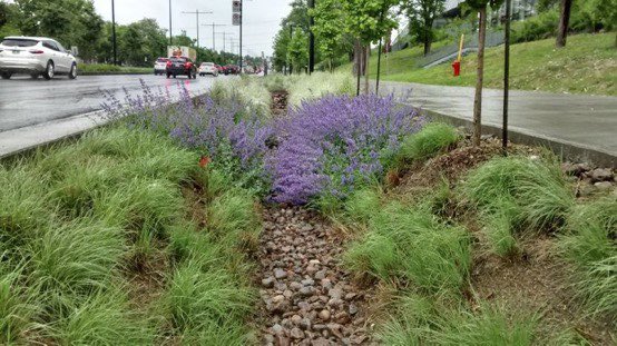 hongbin4council's tweet photo. Adding bioswales along sidewalks/bike lanes provides protection while addressing stormwater runoff. #GreenInfrastructure #MultiSolve #naturebasedsolutions https://t.co/WiHZvFa242