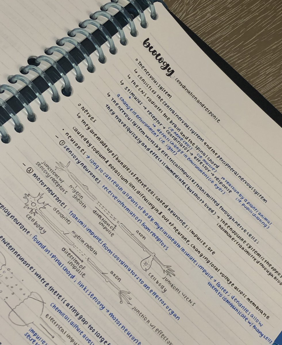 glqssyjrnls's tweet photo. chem, physics and bio notes #studyspo #studytwt https://t.co/W2YXHDute1