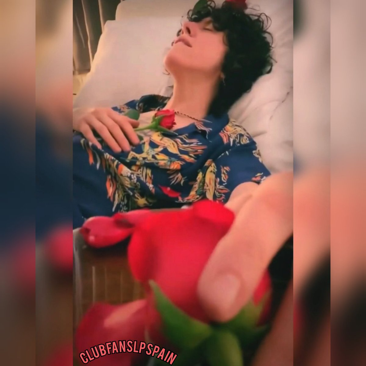 ClubFansLPSpain's tweet photo. 🥀 Así da gusto comenzar el día. Feliz domingo familia LP. ⚡ 🎶 ♥️
@iamlp @ClubFansLPSpain #lp #LPFamily #newmusic #artistas #compositora #lpspain #Repost #iamlpfan #iampofficial #lpeople #ClubfansLPspain #biglove #laurapergolizzi #photooftheday #spain @piasiberoamerica https://t.co/2iwydlGkK4