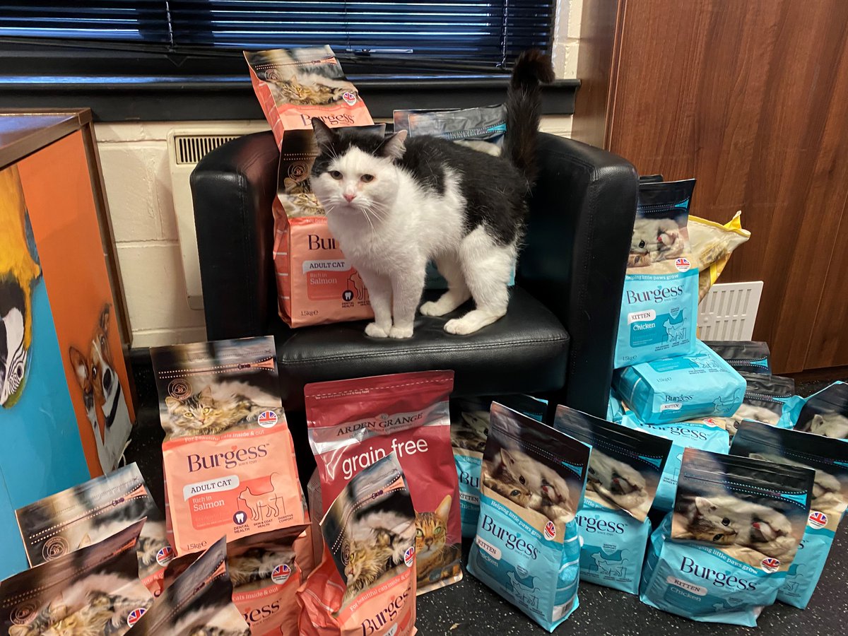 ScottishSPCA tweet picture
