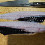 知らなかった!深海魚の喉～お腹にかけて黒い膜がある場合が多い!