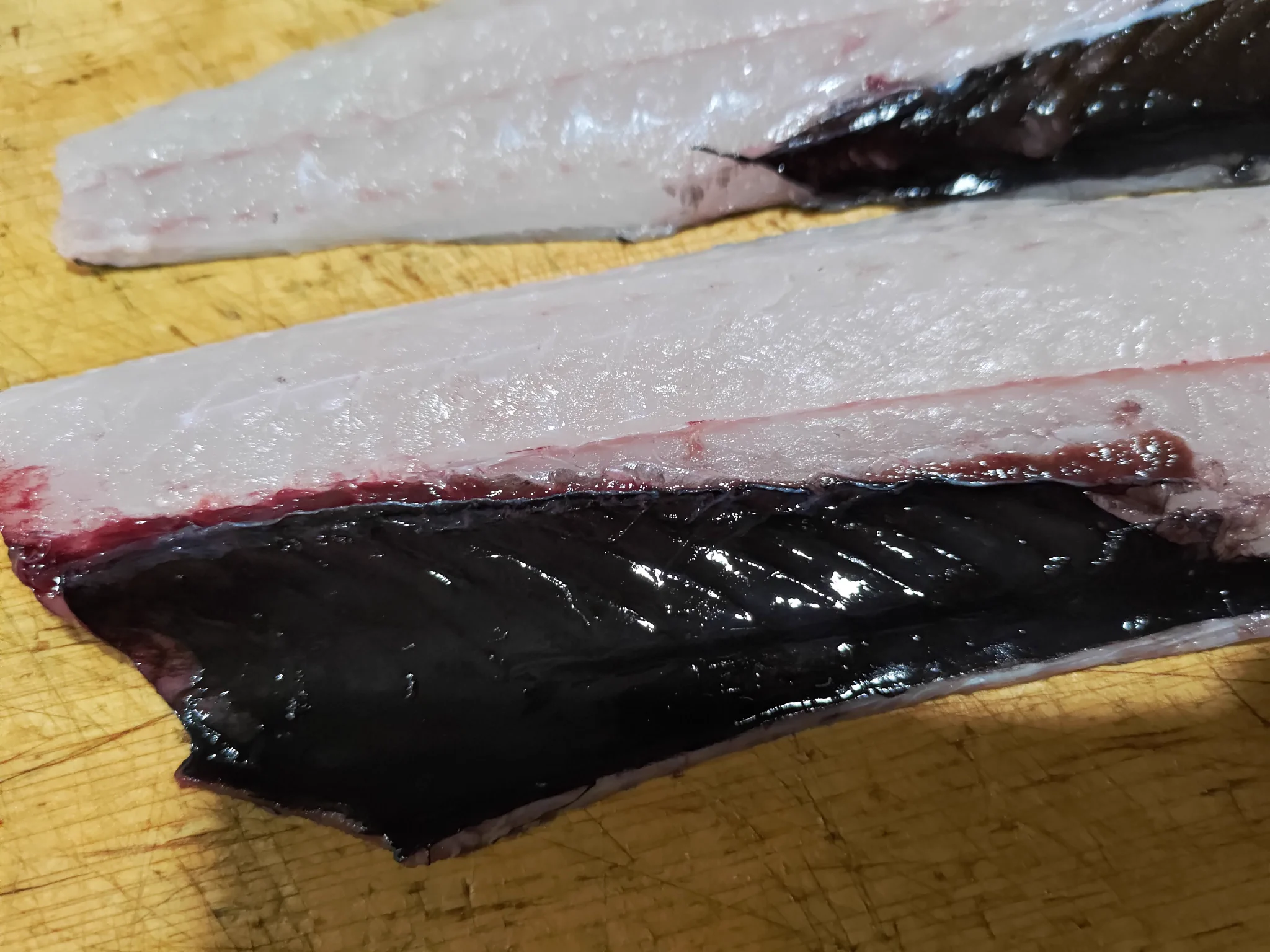 知らなかった！深海魚の喉～お腹にかけて黒い膜がある場合が多い！！