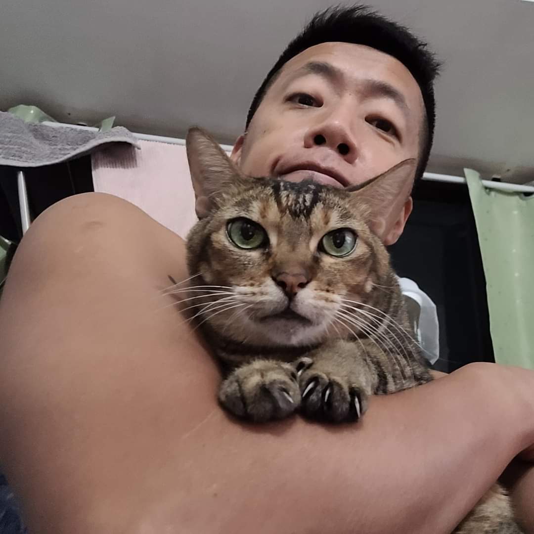 NL_HK852's tweet photo. My warm bag, do you want it?
.
#warmbag
#mycat
#homewithmycat
#selfiewithcat https://t.co/Tv4ycGEDm0