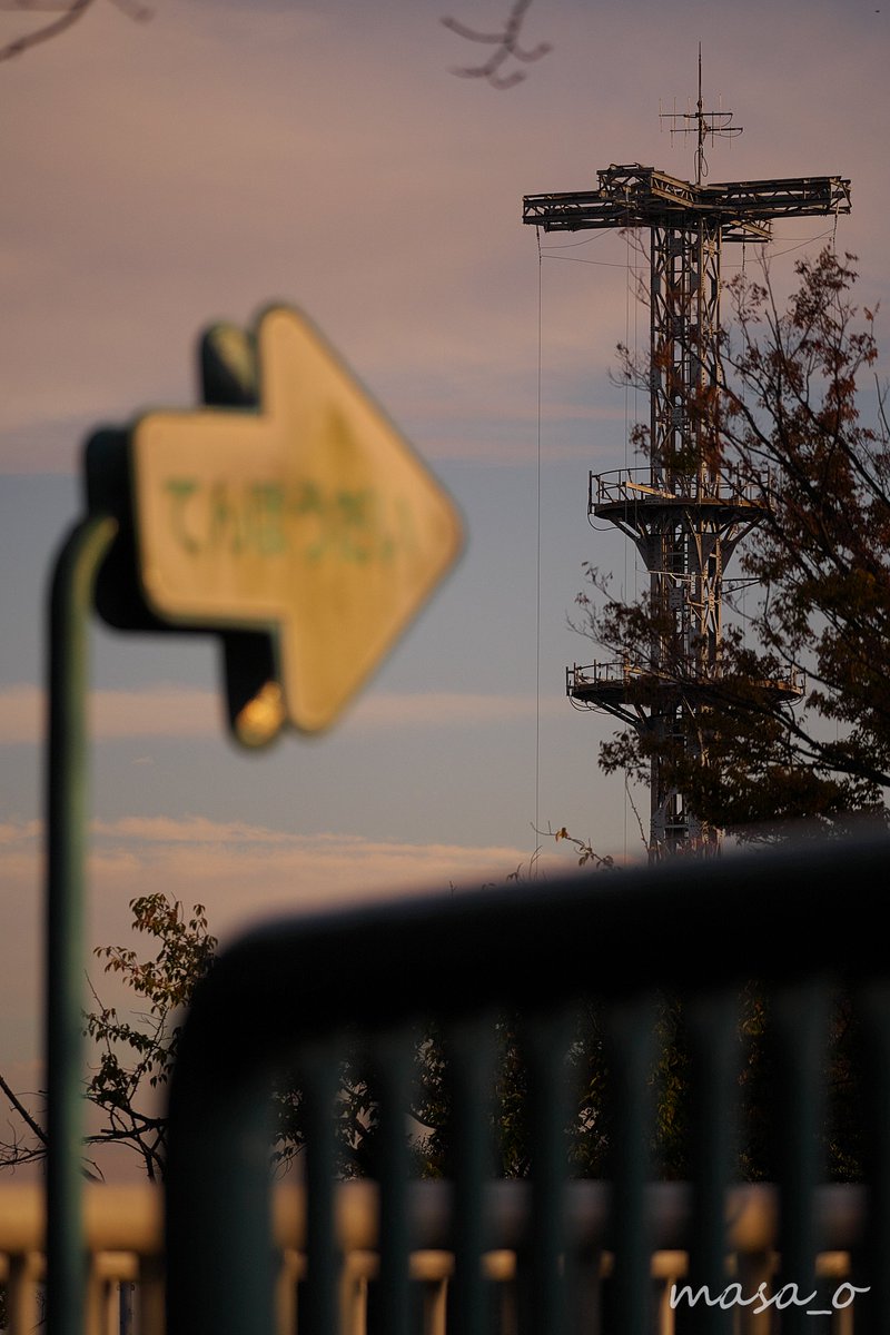 Masa O 今日の 野毛山動物園 はすごい人出で混雑していました 皆さん自粛が続いた反動で久しぶりの動物園を楽しんでいらっしゃるようです 動物たちの前は混雑でしたので私は野毛山動物園 野毛山公園の風景を楽しんでました