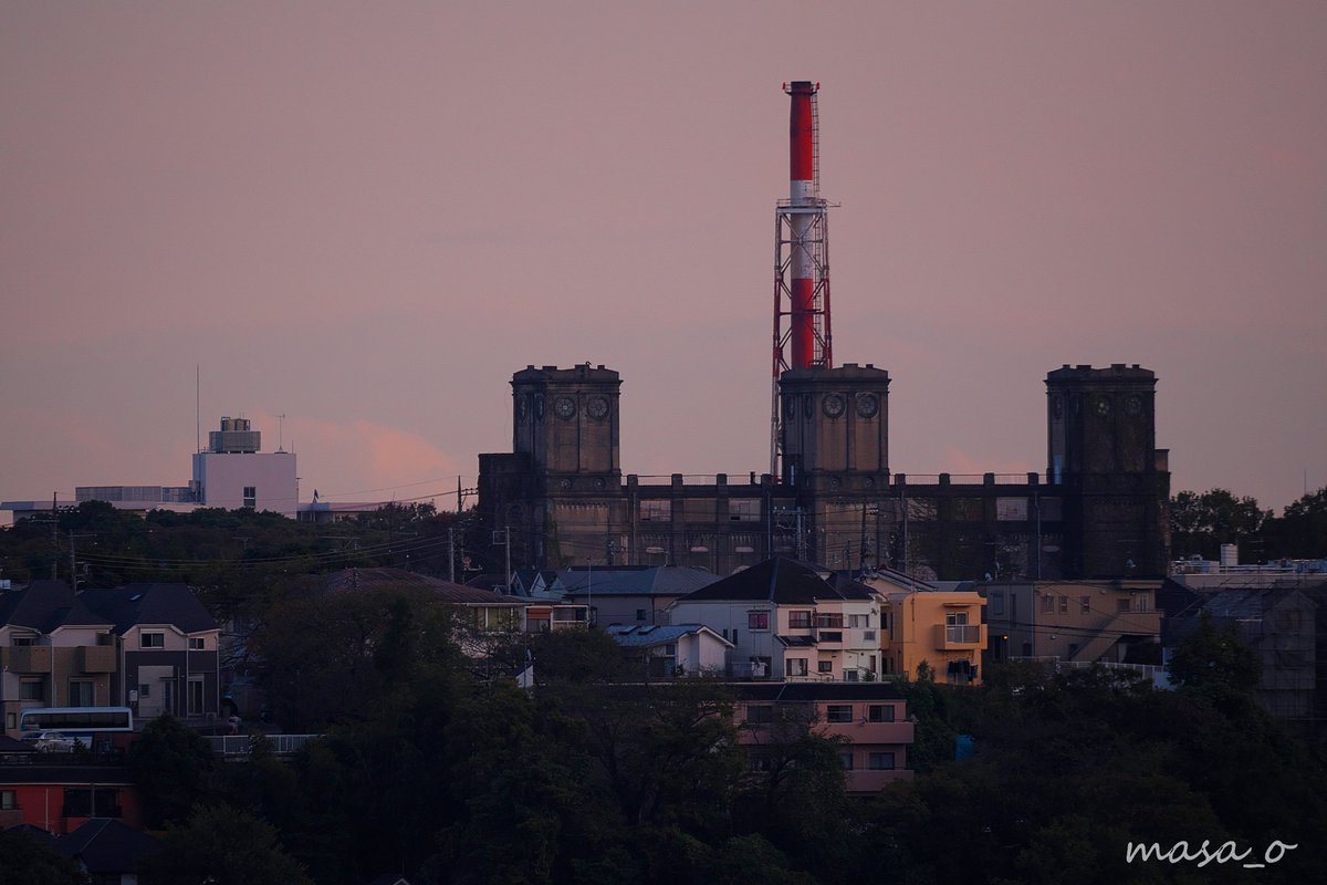 Masa O 今日の 野毛山動物園 はすごい人出で混雑していました 皆さん自粛が続いた反動で久しぶりの動物園を楽しんでいらっしゃるようです 動物たちの前は混雑でしたので私は野毛山動物園 野毛山公園の風景を楽しんでました