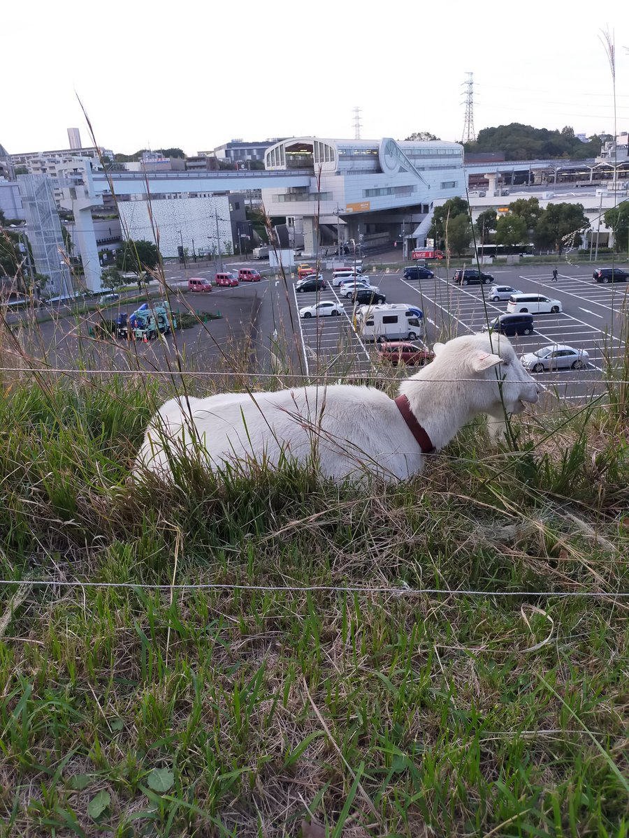 kdiu00nt3DpN0Lb's tweet photo. 寝坊をし、電車は乗り過ごしたけど行って本当に良かった😆
色んな話聞けたし、何よりも距離が近かった!!
やっぱりかっこいいなぁー💕すべてがかっこよかった😍
これでまた、1、2ヶ月は頑張れる💪
#岡本健一 #トークセッション #LINKFOREST https://t.co/LEckdrF9Ty