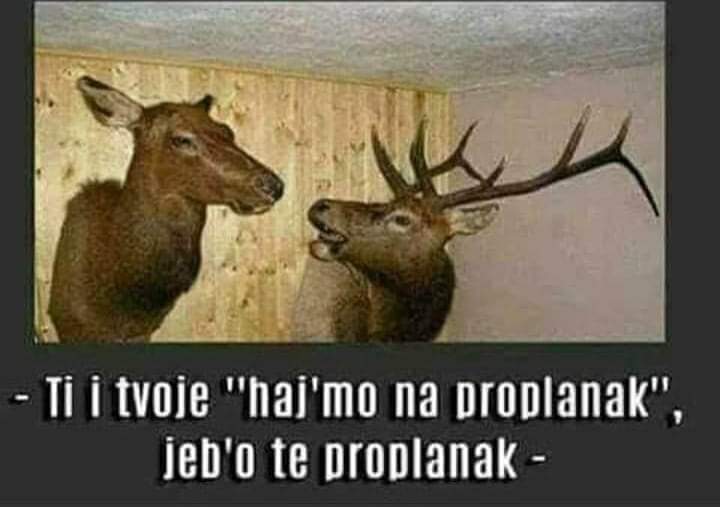 BEDNO PISKARALO (@djukasanjic) on Twitter photo 