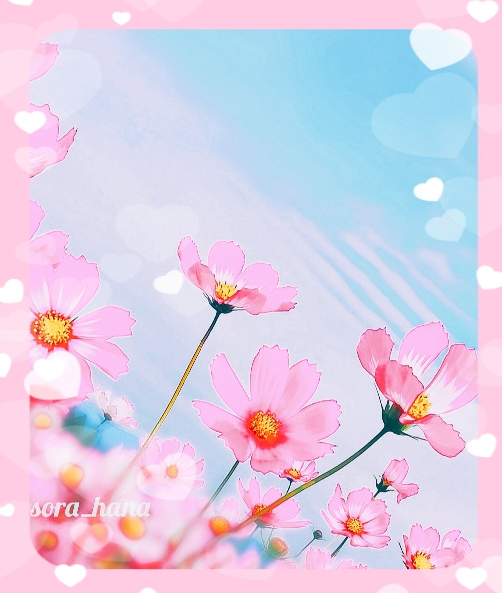 aqua_rian__'s tweet photo. ๐๐โผฬฅเญญ*โโดัตโฏ...๐๐โผฬฅเญญ*โโดัตโฏ...๐๐โผฬฅเญญ*โโดัตโฏ... #pink_collection https://t.co/XoJimc6e7r