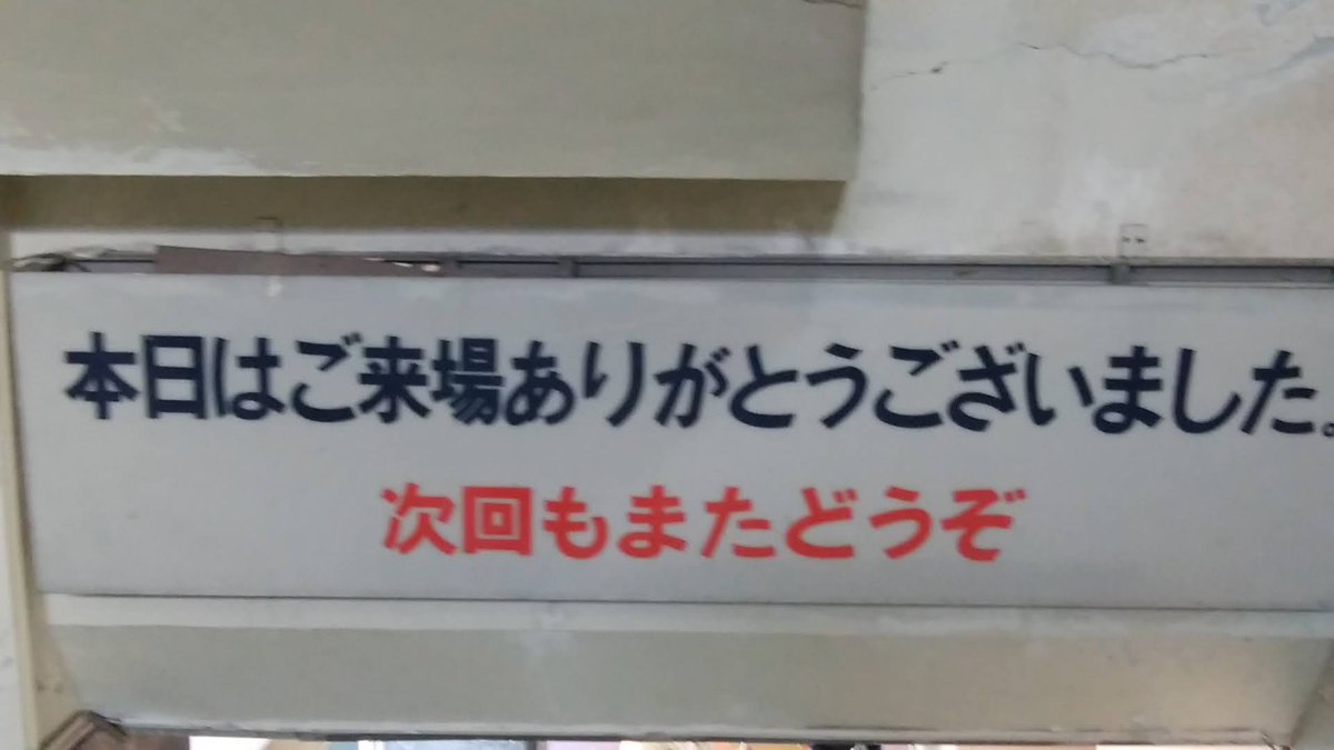 stellarecotan's tweet photo. 結局、ゼイリブも見てしまった・・・出てきたら夜 https://t.co/6LUdJn5IhS