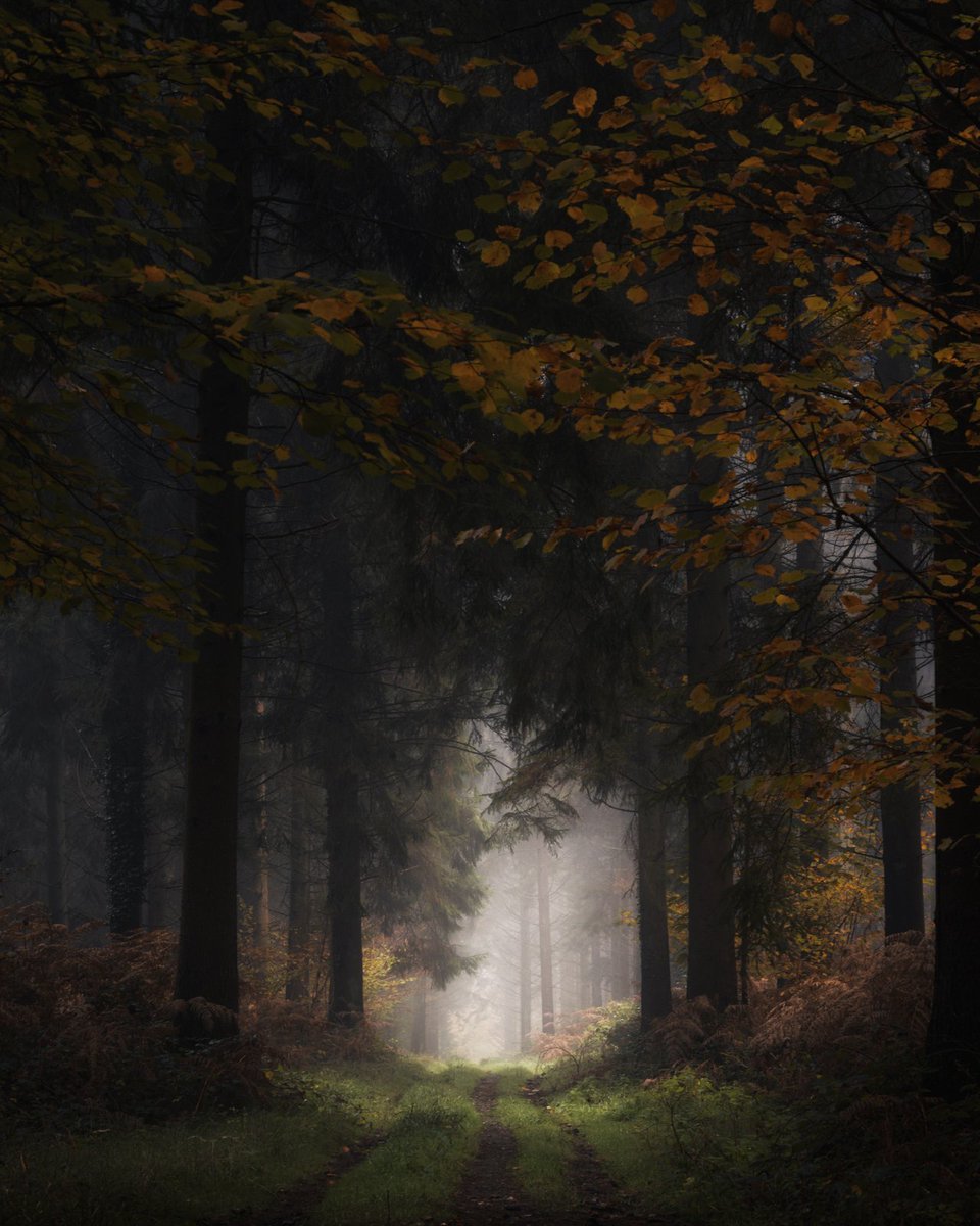 Autumn Colours 

#landscapephotography 
#NaturePhotography 
#autumnleafwatch