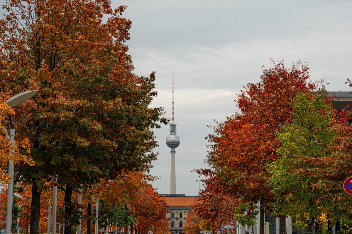 Blurtgerman tweet media