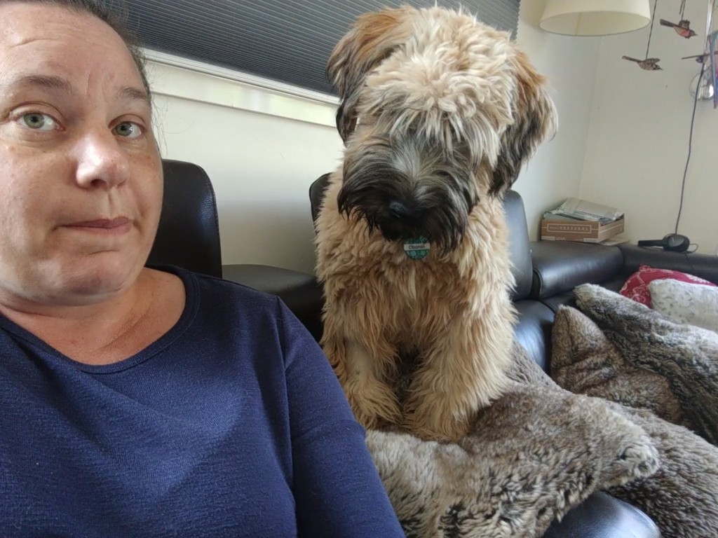 OberonWheaten's tweet photo. I have found that if I sit beside my humans and watch the food while they are eating, I can sometimes steal some when they aren't looking. Bonus if I can rest my tushie in the pot plant too. #snacktime #ILikeSnacks #GreenBum https://t.co/dyFkF08rxk