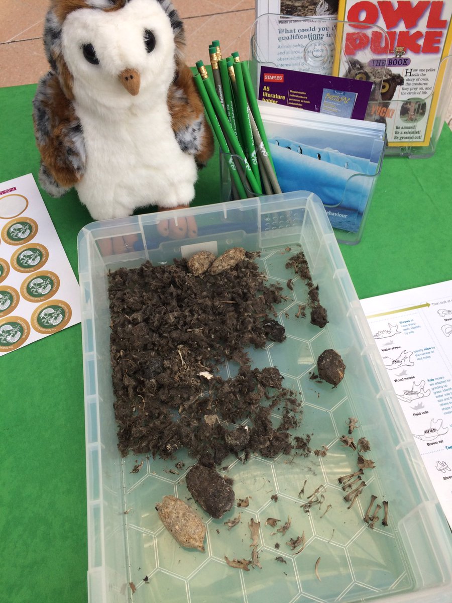 ASABeducation tweet picture
