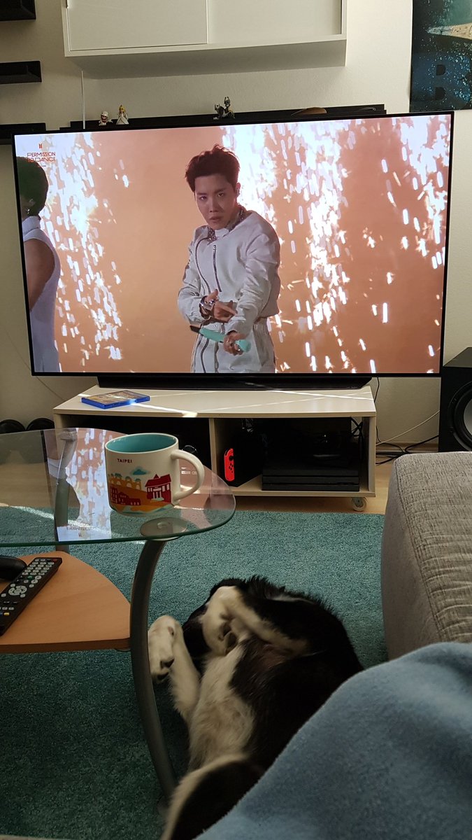 Samtylein's tweet photo. @BangtanGER_twt Hundi + Tee + Decke = 💜 https://t.co/Z50vMEFsuc