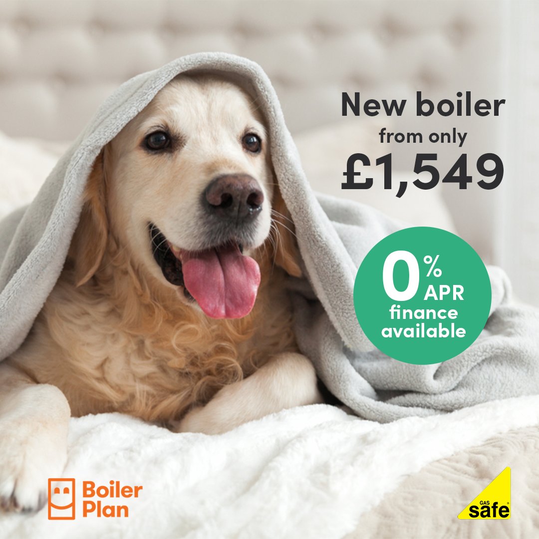 Boiler Plan tweet media